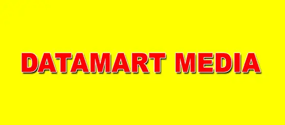Datamartmedia Logo 6